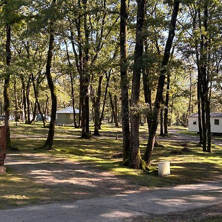 Camping Les Petites Minaudieres Coussay-les-Bois Экстерьер фото